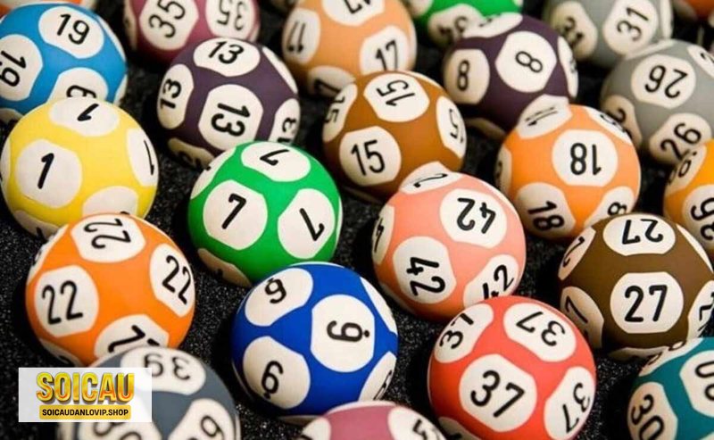 Dự đoán xổ số Trà Vinh - Lô gan, đầu đuôi và tần suất loto Dự đoán xổ số Trà Vinh - Lô gan, đầu đuôi và tần suất loto